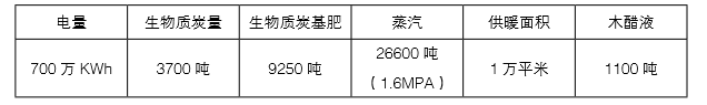 仟億達(dá)生物質(zhì)多聯(lián)產(chǎn)的產(chǎn)出